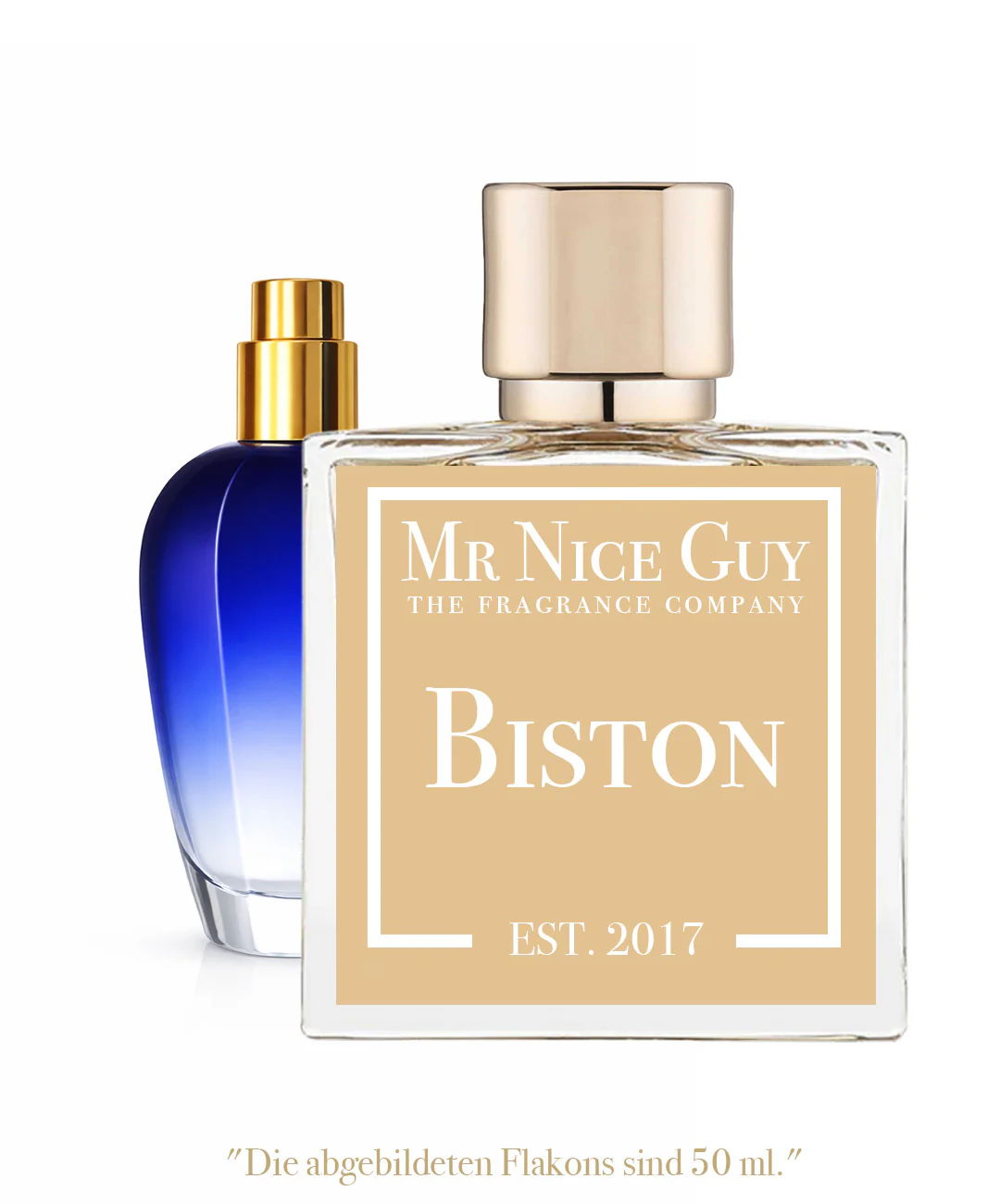 Biston - Torino 22