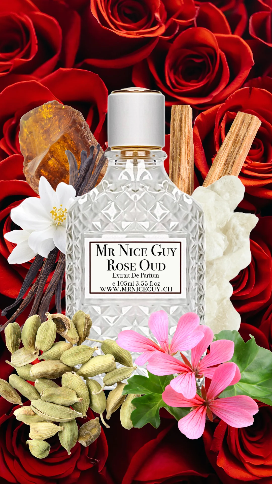 Mr Nice Guy - Rose Oud - Image 3